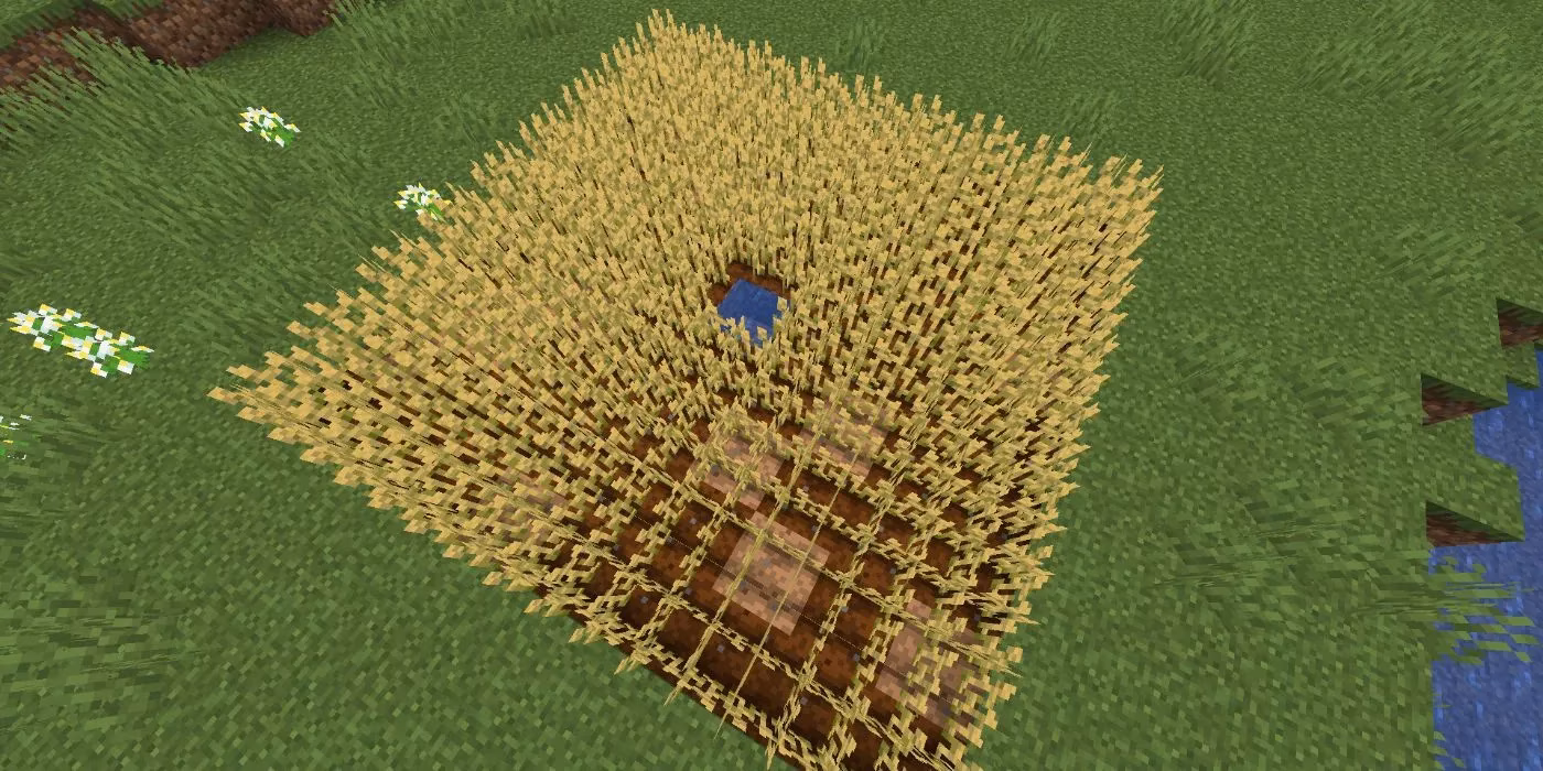 minecraft-s-best-crops-to-plant-near-a-base-in-2026-image-0