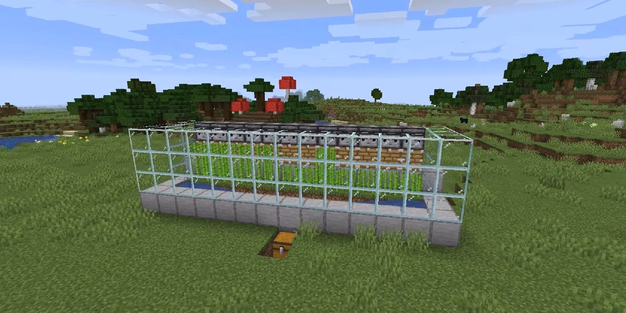 minecraft-s-best-crops-to-plant-near-a-base-in-2026-image-1