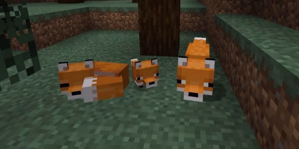 minecraft-s-biome-votes-a-look-back-at-winners-and-surprising-additions-image-1