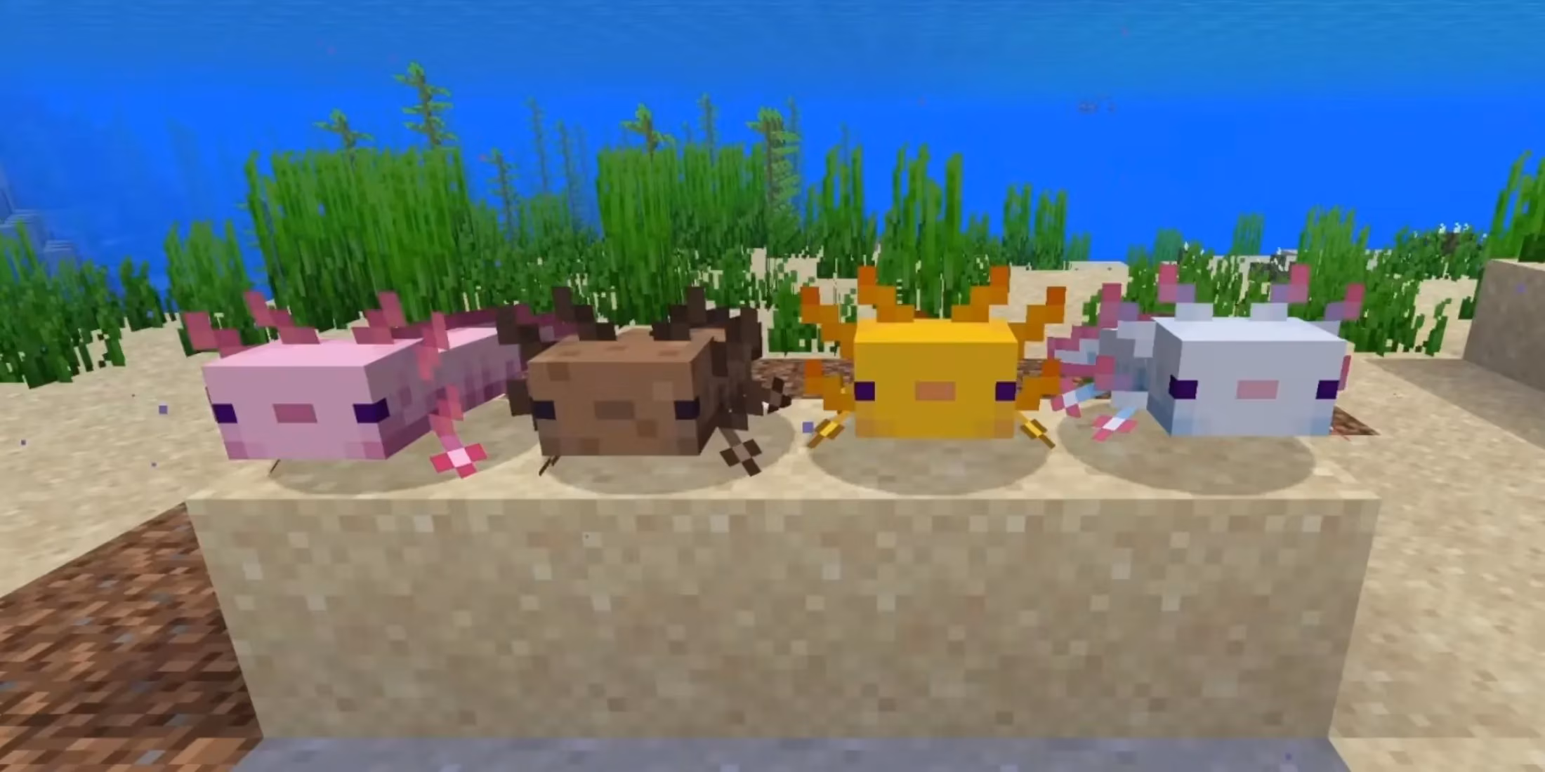 the-quest-for-the-blue-axolotl-a-guide-to-minecraft-s-rarest-aquatic-ally-image-1