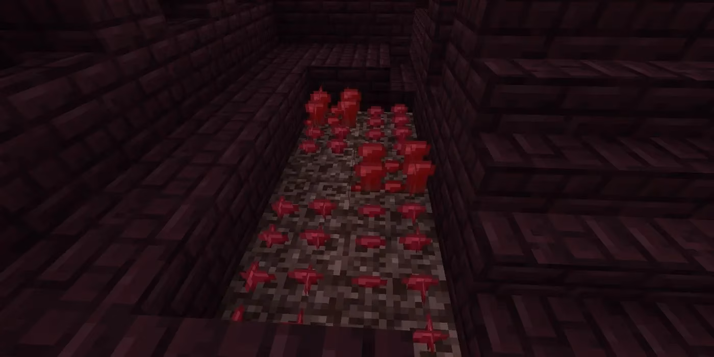 minecraft-s-best-crops-to-plant-near-a-base-in-2026-image-3