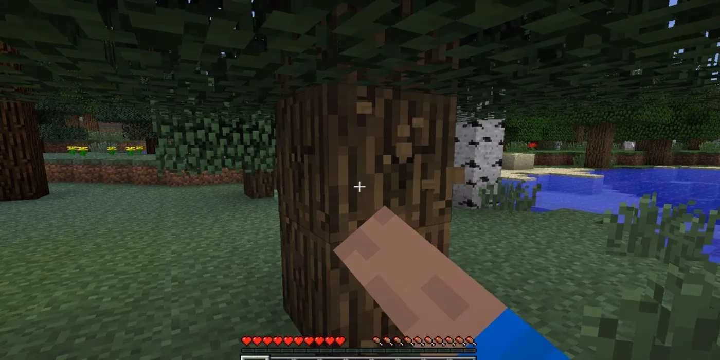 a-2026-guide-to-minecraft-essential-first-steps-for-new-players-image-0