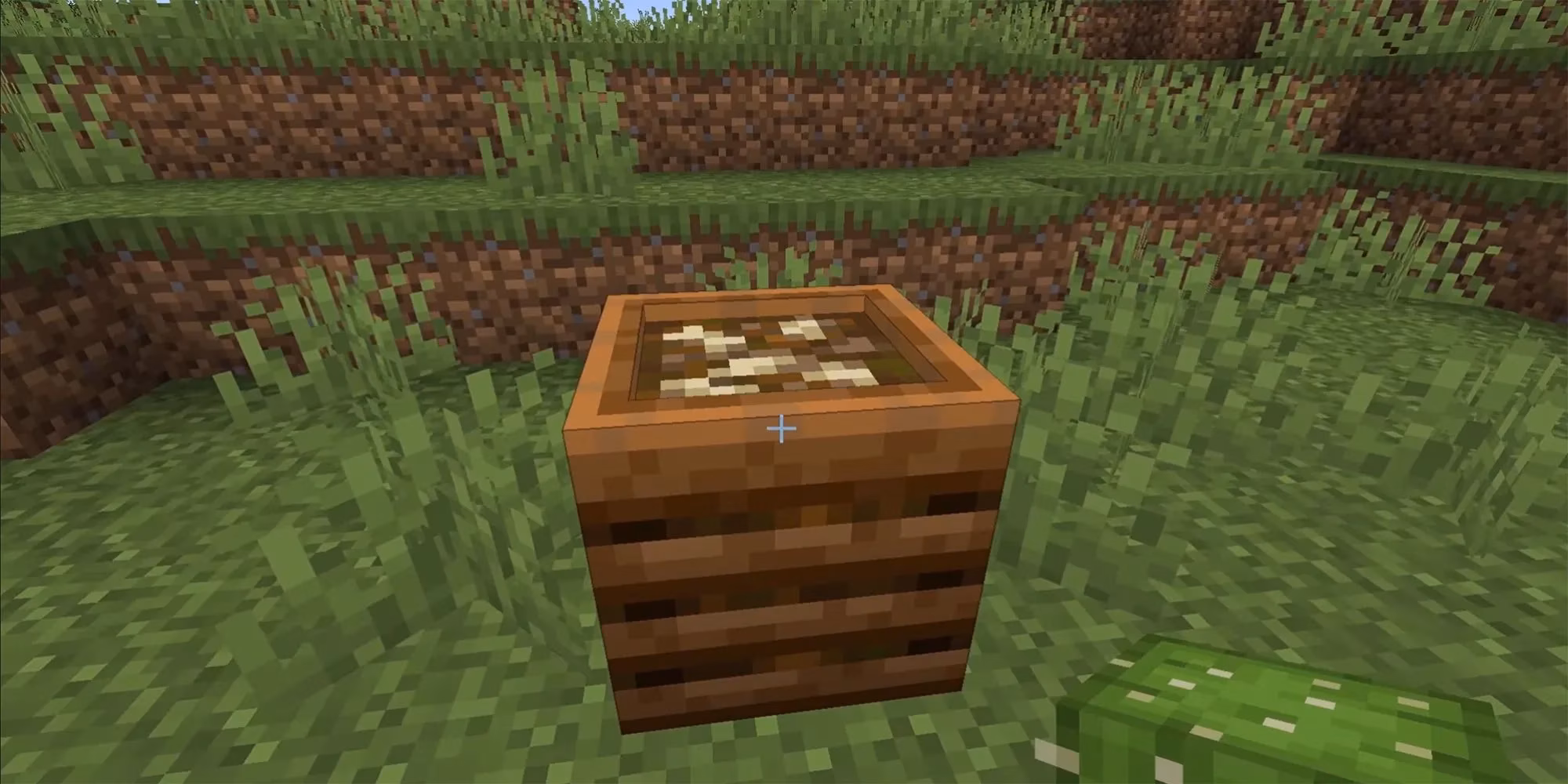 kelp-in-minecraft-my-favorite-ways-to-use-this-underwater-plant-image-2