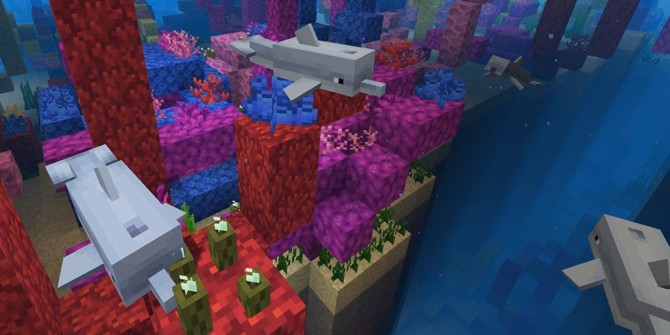 the-dolphin-that-slayed-minecraft-s-wither-boss-unbelievable-ocean-showdown-image-0