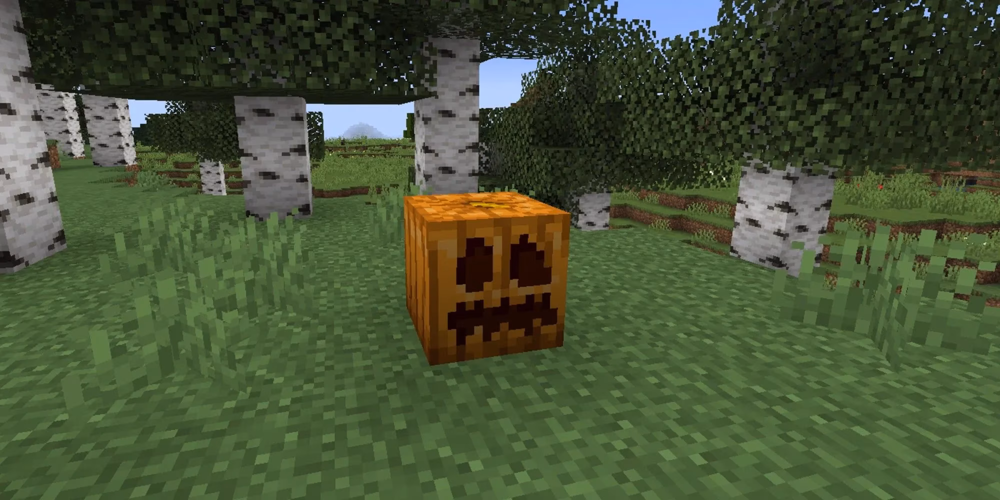 minecraft-s-best-crops-to-plant-near-a-base-in-2026-image-5